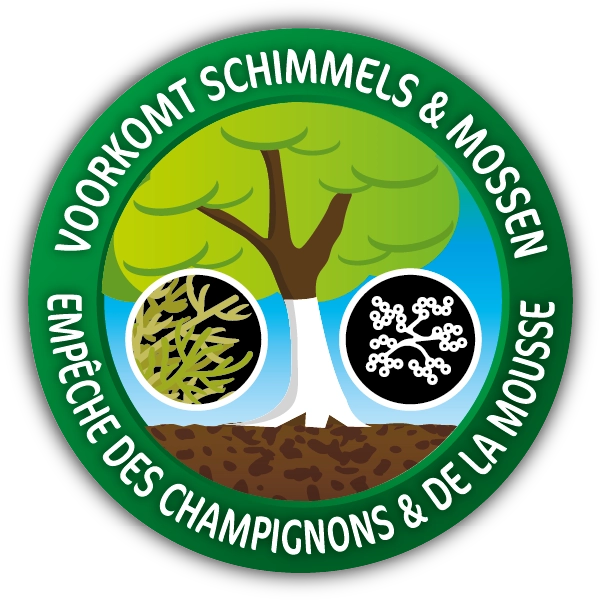 Schimmel